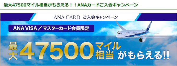 ANA VISA入会キャンペーン